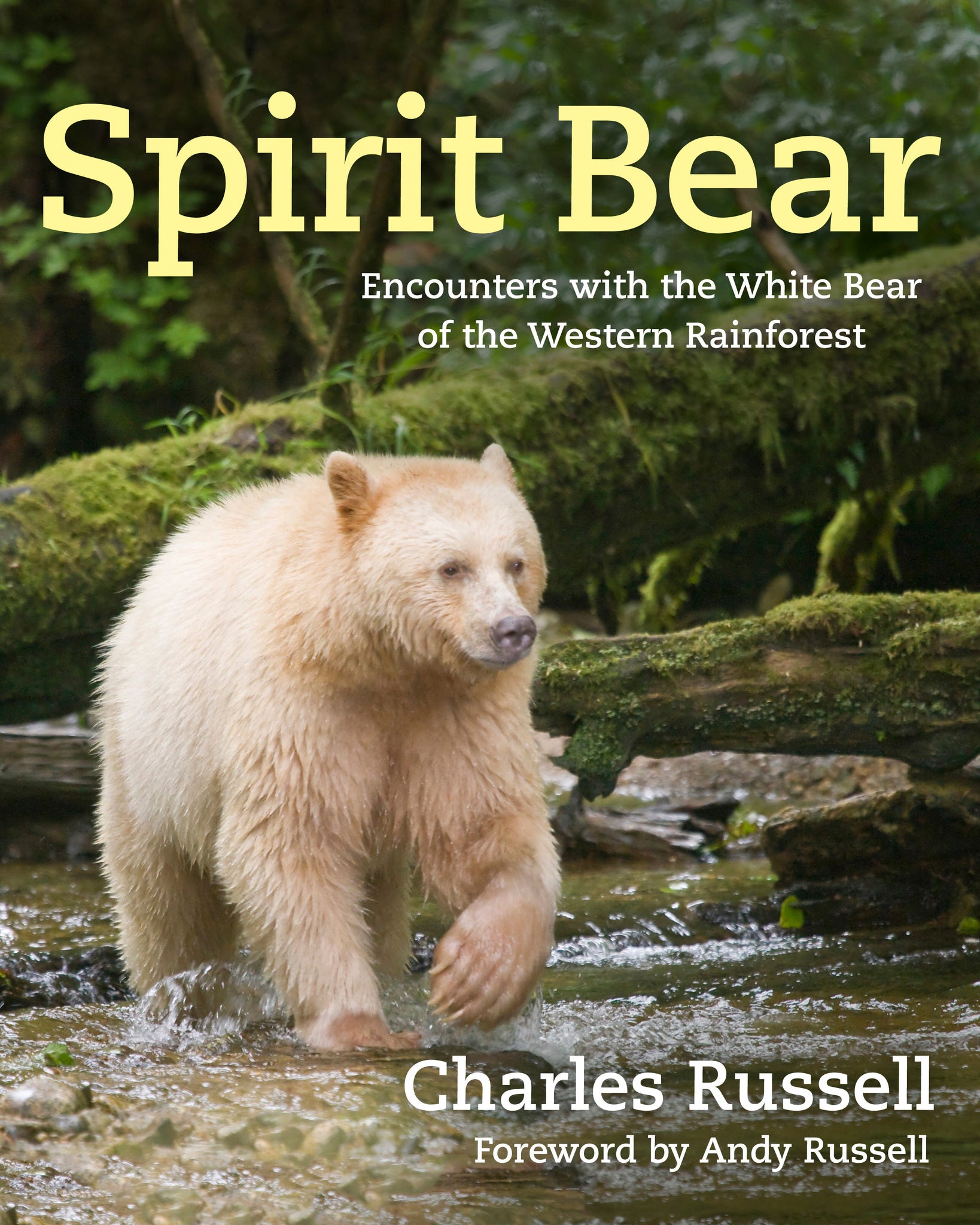 Cover image for Spirit Bear ISBN 9781487002091